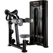 Machine à Deltoide - Marque BH - Gamme Pro - Chargee à 90 kg