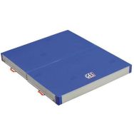 Matelas de gymnastique repliable en 2 ges - 200 x 100 cm