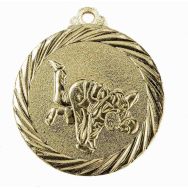 Médaille promotion judo