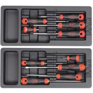 Module abs de 10 tournevis bi-matiere