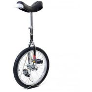 Monocycle Adulte