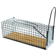 Nasse à rats entrée unique avec socle en bois