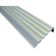 Nez de marche photoluminescent Alu