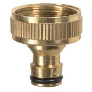 Nez de robinet 100 % laiton sur carte - Ø 25.4 mm (1'')