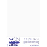 Paint'On à Grain Paquet 10 feuilles 50x65 250g
