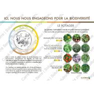 Panneau éducatif - Le potager