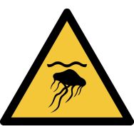 Panneau pictogramme Meduses - Djois Made By Tarifold