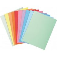 Paquet de 100 chemises dossier 160 g, peau, 24x32 cm couleurs assorties