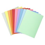 Paquet de 100 chemises dossier 210 g, peau, 24x32 cm couleurs assorties