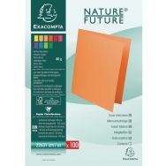 Paquet de 100 sous-chemises rock''s 80 - 22x31cm - Exacompta
