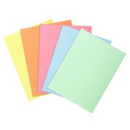 Paquet de 250 sous-chemises 22 x 31 cm 60g
