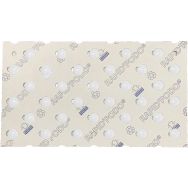 Pastille podotactile Rapid'podo® - Wattelez