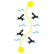 Piste aux Requins en résine thermocollée