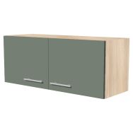 Placard mural Identité 2 portes 100x40x35 cm Pin/eucalyptus