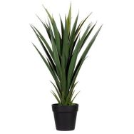 Plante artificielle Yucca - 60 à 150 cm - Meet By Paperflow
