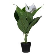 Plante artificielle fleur de lune 55 cm-Meet By Paperflow