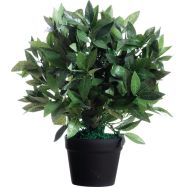 Plante artificielle laurier H : 50cm