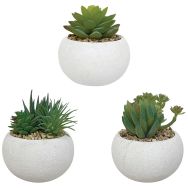 Plantes succulentes artificielles pot rond Blanc