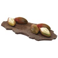 Plaque chocolat feve cacao 24 empreintes