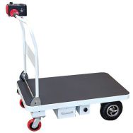 Plateforme motorisée 300 KG dossier repliable 1000x600 mm