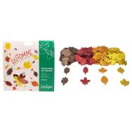 Pochette 200 formes d'automne en mousse pailletée adhésive