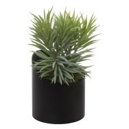 Pot à poser VAGUE Senecio