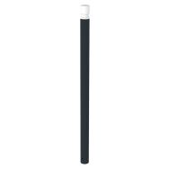 Potelet Alto tête gorge - anthracite mat 7016/blanc - Rossignol Pro