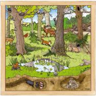 Puzzle 'forêt au printemps'