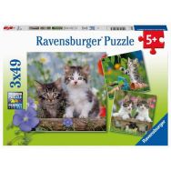 Puzzles chatons 49 pièces