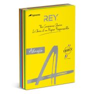 Ramette 500 feuilles A4 80g 5 teintes vives assorties