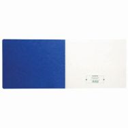 Registre 25x32cm  Registre des visites 25 lignes 80 pages