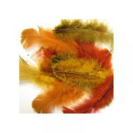 Sachet 150 plumes assorties couleurs de l'automne