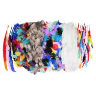 Sachet de 1000 plumes assorties