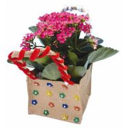 Sacs à fleurs en toile de jute