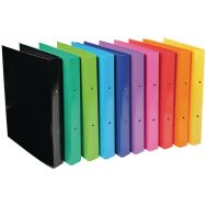 Set 10 classeurs A4 2 anneaux 30mm iderama Assortis