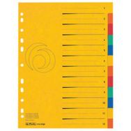 Set de 12 Intercalaires carton easyorga, A4, extra large