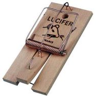 Tapette à rats - Lot de 15