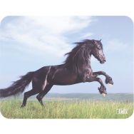 Tapis de souris illustré Horses