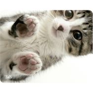Tapis de souris illustré Kitty