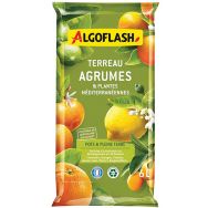 Terreau agrumes et plantes méditerranéennes 6l /nc