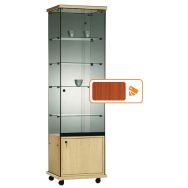 Vitrine Easy E5 - Avec armoire basse et éclairage socle Merisier