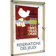 Vitrine affichage extérieur Alcor 65 x 47 cm coloris sable RAL 1019