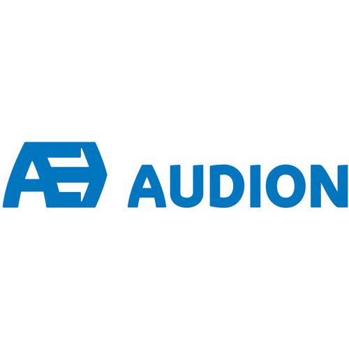 AUDION