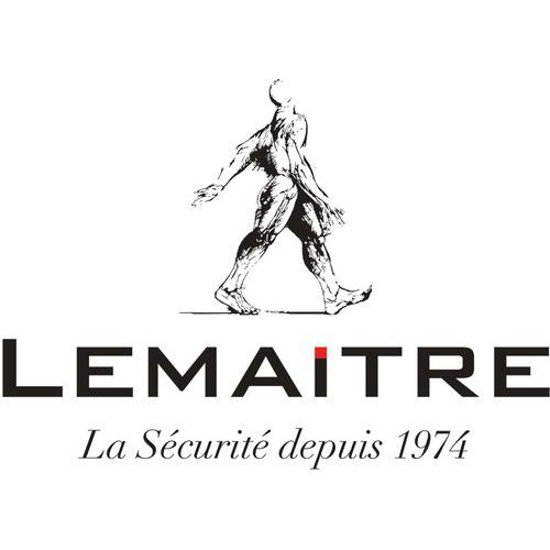 Lemaitre