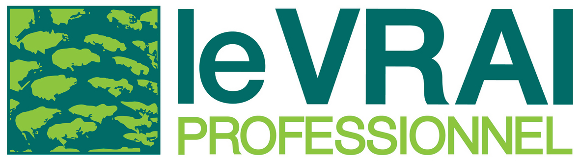 LE VRAI PROFESSIONNEL