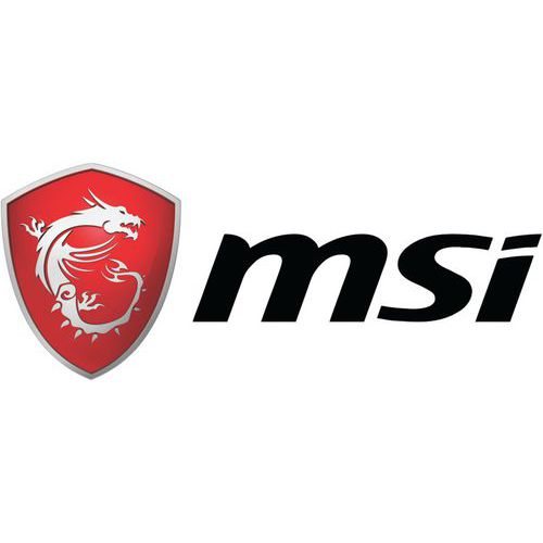 MSI