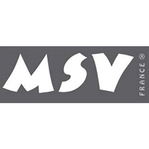 MSV