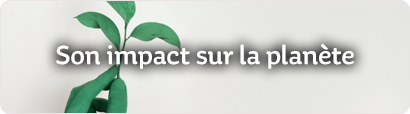 Son impact sur la planète