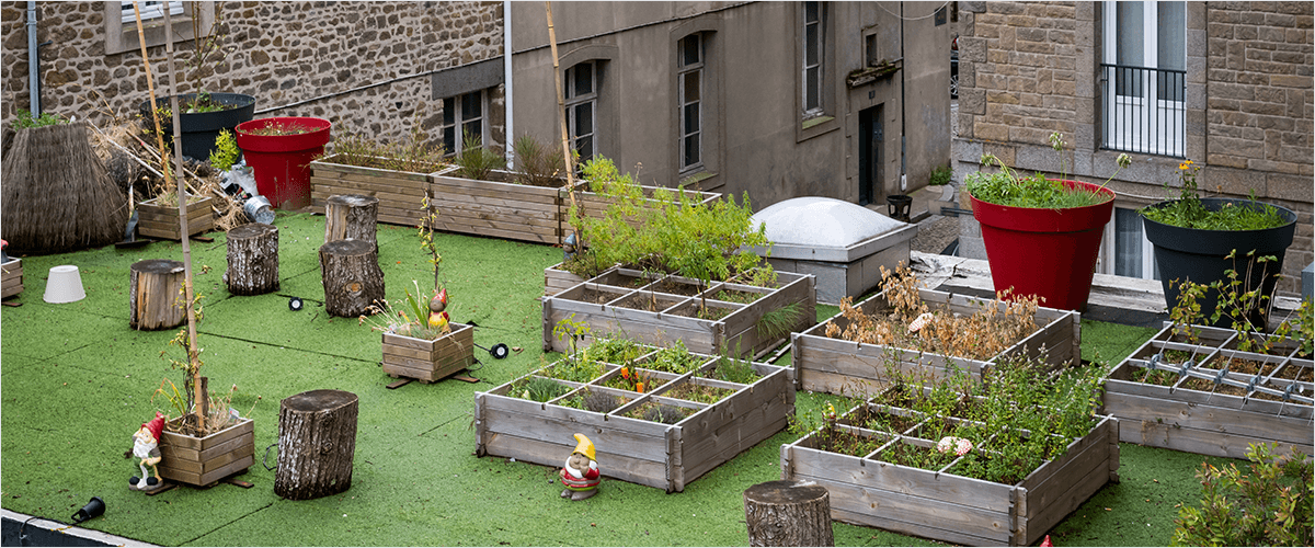 jardin partagé jardin partagé