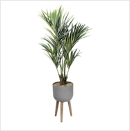 bac design bac design